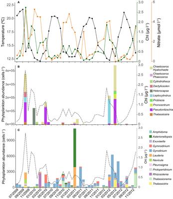 Novel Interactions Between Phytoplankton and Bacteria Shape Microbial Seasonal Dynamics in Coastal Ocean Waters